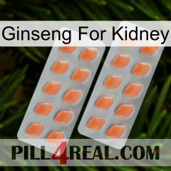 Ginseng For Kidney 27